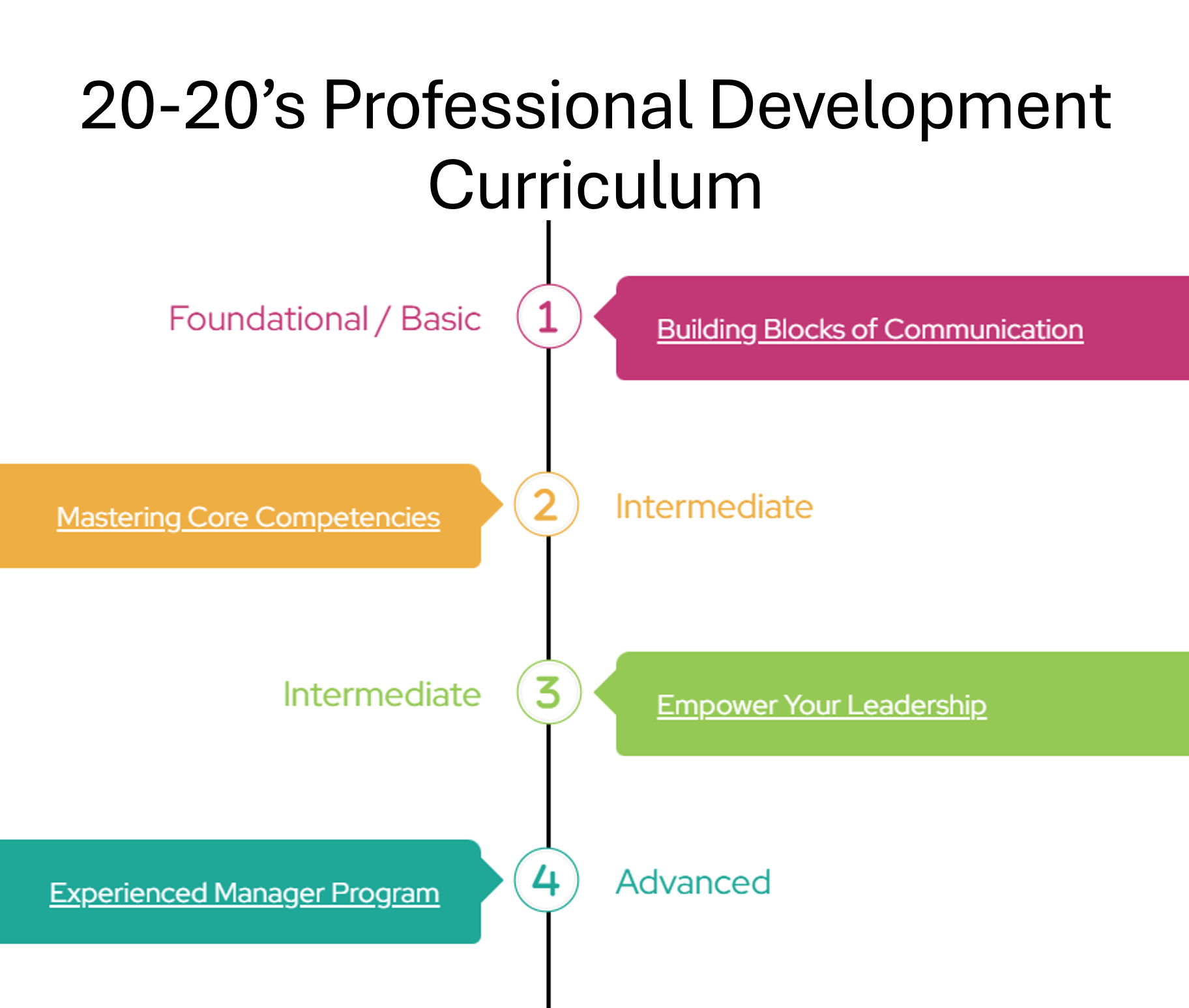 20-20's Professional Development Curriculum